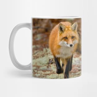 Red Fox Mug